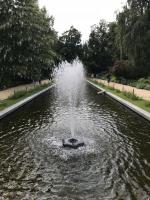 Ботанический сад МГУ (Аптекарский огород) (Россия, Москва) фото