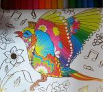 Цветные карандаши Yalong Colourful фото