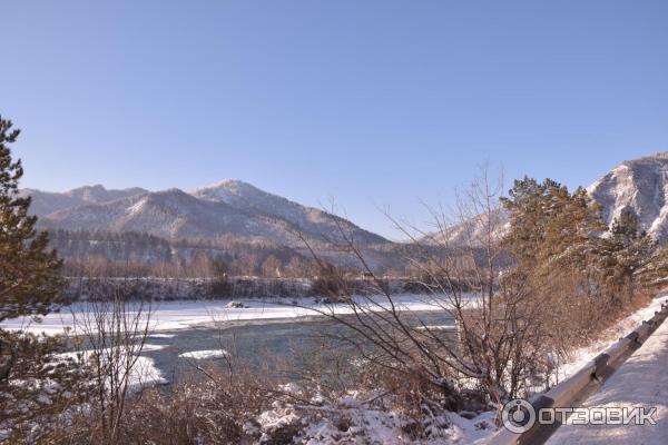 Река Катунь (Россия, Алтайский край) фото