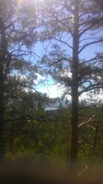 Бухтарминское водохранилище (Казахстан, Восточно-Казахстанская область) фото