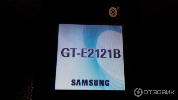 Сотовый телефон Samsung GT-E2121B фото