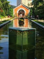 Ботанический сад МГУ (Аптекарский огород) (Россия, Москва) фото