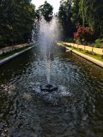 Ботанический сад МГУ (Аптекарский огород) (Россия, Москва) фото