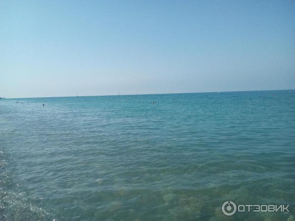 Берег моря, пляж Морская звезда