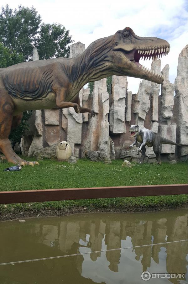 Купить Билет В Сафари Парк Краснодар