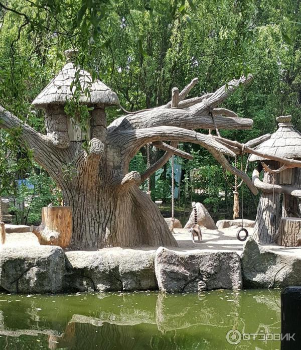 Купить Билет В Сафари Парк Краснодар