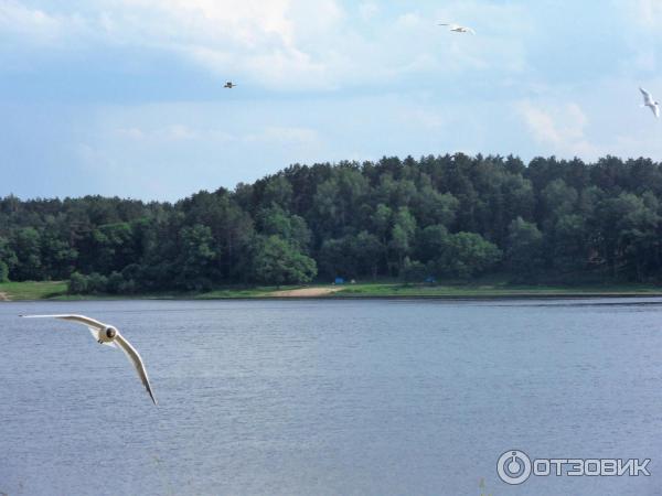 Санаторий Летцы (Белоруссия, Витебская область) фото