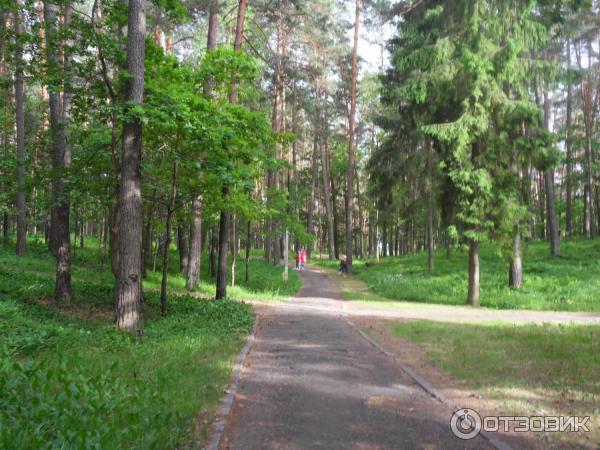 Санаторий Летцы (Белоруссия, Витебская область) фото