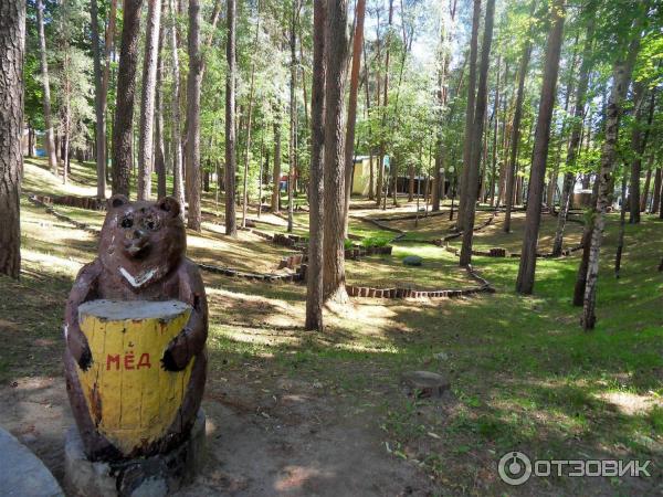 Санаторий Летцы (Белоруссия, Витебская область) фото