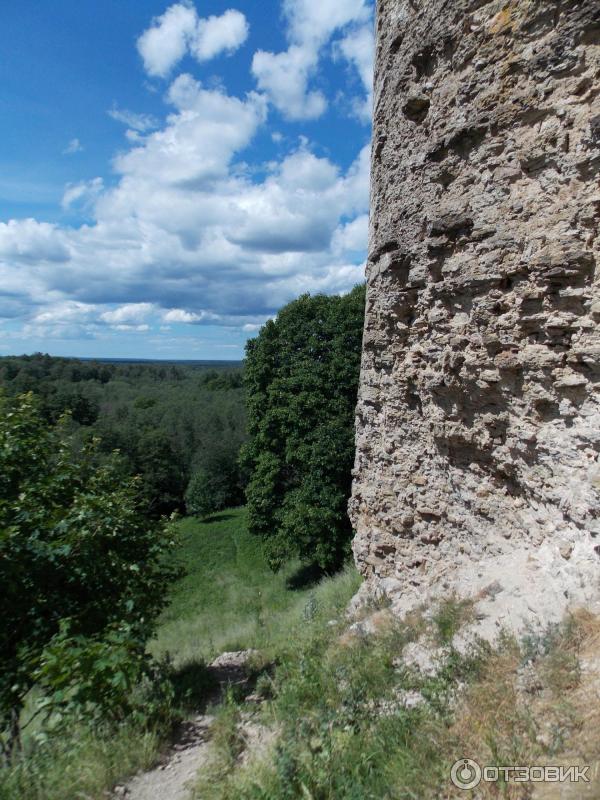 Копорская крепость (Россия, Ленинградская область) фото