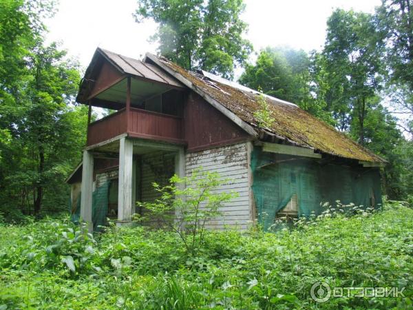 Усадьба Строгановых Братцево (Россия, Москва) фото