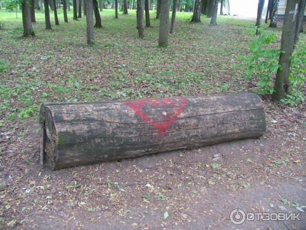 Усадьба Строгановых Братцево (Россия, Москва) фото
