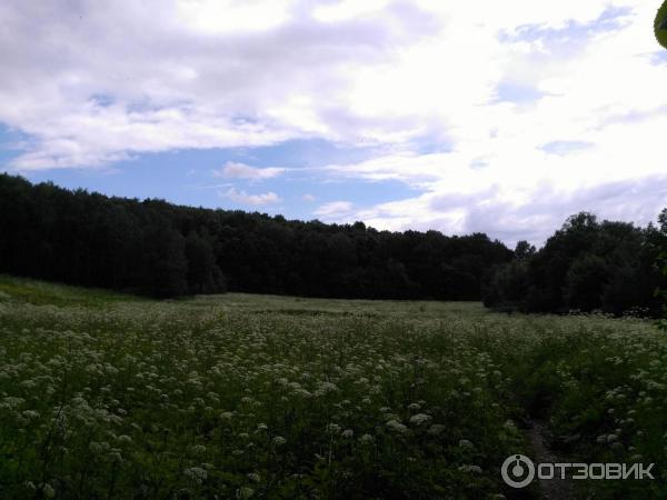 Усадьба Строгановых Братцево (Россия, Москва) фото