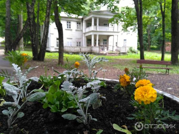 Усадьба Строгановых Братцево (Россия, Москва) фото