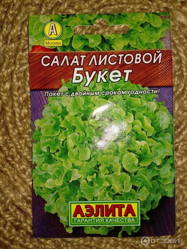 Салат Экзакт Купить Семена