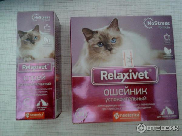 Успокоительное для кошек