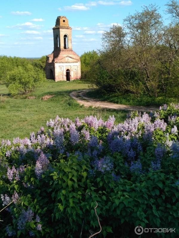 Воронеж фото шилово старые