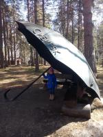 Санаторий "Сибиряк" (Россия, Бердск) фото