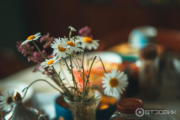 Беззеркальный полнокадровый фотоаппарат Sony Alpha 7 или Sony A7