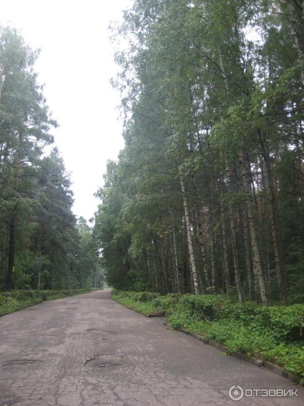 Отдых в г. Иваново (Россия, Ивановская область) фото