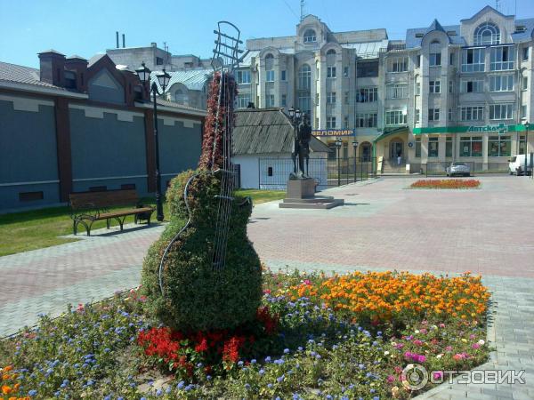 С зеленью есть множество композиций