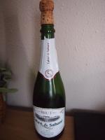 Вино игристое белое брют Cava Jaume Serra фото