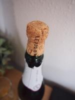 Вино игристое белое брют Cava Jaume Serra фото