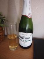 Вино игристое белое брют Cava Jaume Serra фото