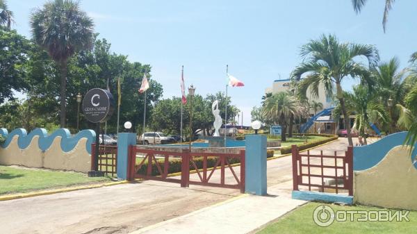 Отель Atlantico 3* фото