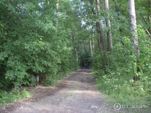 Экскурсия по г. Савелово (Россия, Тверская область) фото