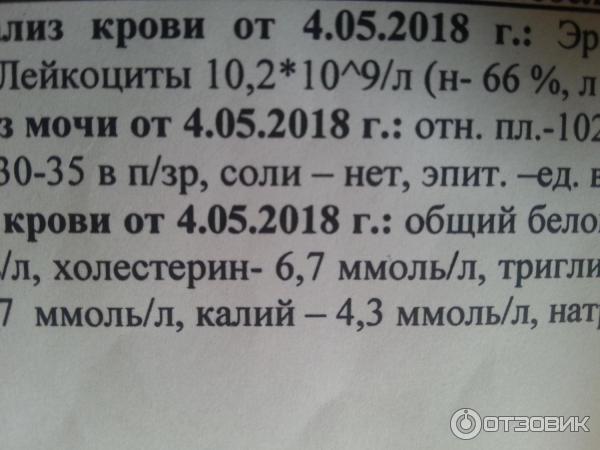 Как снизить холестерин без статинов — 7 продуктов, полезных для сердца и сосудов - Чемпионат