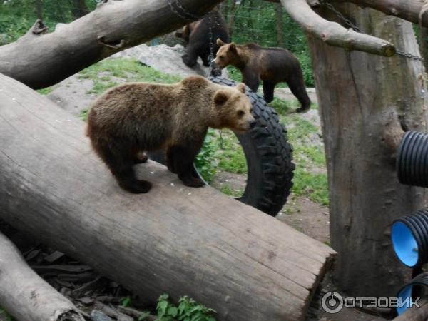 Музей Skansen (Швеция, Стокгольм) фото