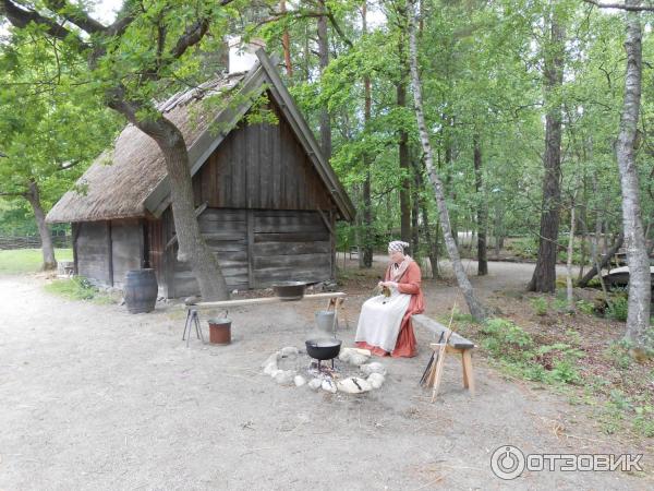 Музей Skansen (Швеция, Стокгольм) фото