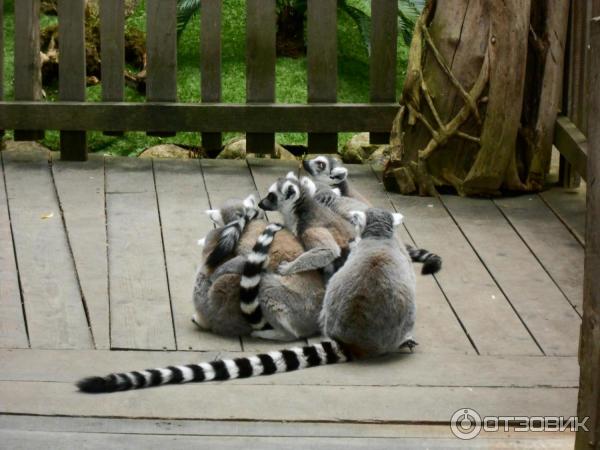 Музей Skansen (Швеция, Стокгольм) фото