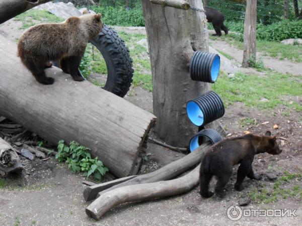 Музей Skansen (Швеция, Стокгольм) фото