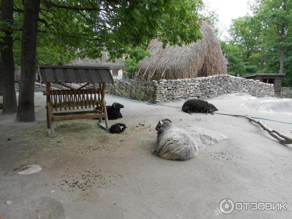 Музей Skansen (Швеция, Стокгольм) фото