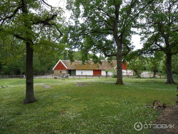 Музей Skansen (Швеция, Стокгольм) фото