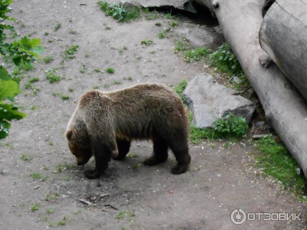 Музей Skansen (Швеция, Стокгольм) фото