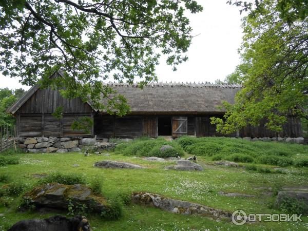 Музей Skansen (Швеция, Стокгольм) фото