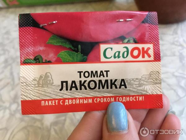 Сорт Томатов Лакомка Отзывы Фото