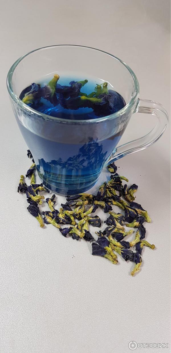 СИНИЙ ЧАЙ (МОТЫЛЬКОВЫЙ ГОРОШЕК) ОРХИДЕЯ ТАЙСКАЯ- BUTTERFLY PEA TEA фото