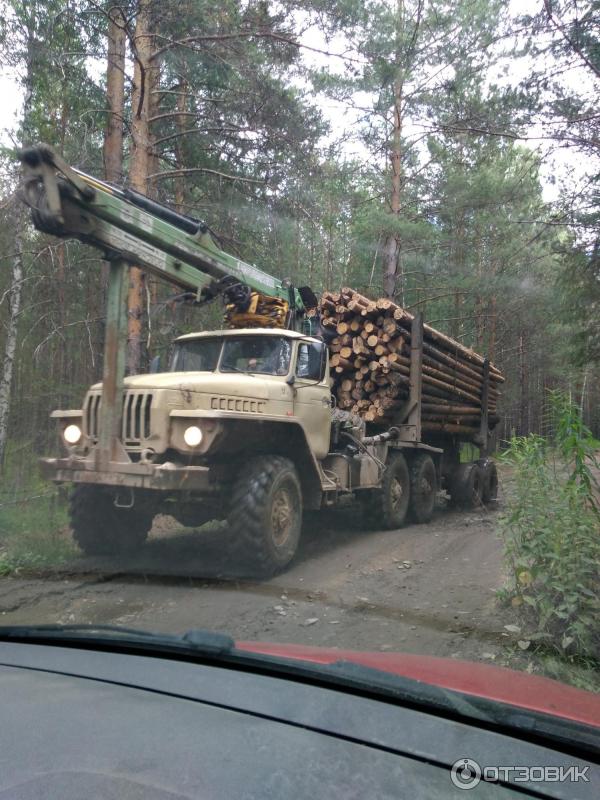 База отдыха Динамо (Россия, Свердловская область) фото