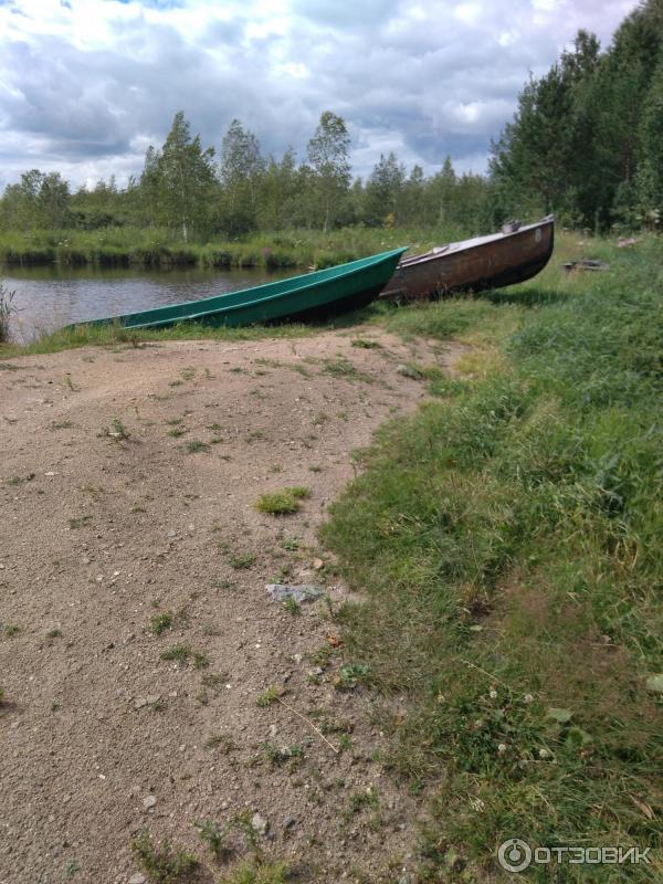 База отдыха Динамо (Россия, Свердловская область) фото