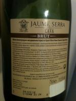 Вино игристое белое брют Cava Jaume Serra фото