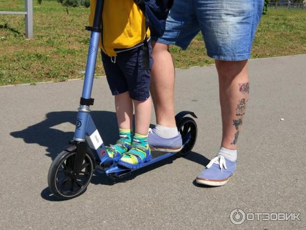 Самокат Oxelo Town 7 Xl Купить