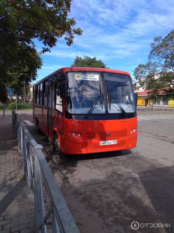 В Ленинградской области введен новый автобусный маршрут Усть-Луга и Санкт-Петербург