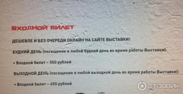 Выставка Бэнкси: гений или вандал? Решаешь ты! в ЦДХ (Россия, Москва) фото