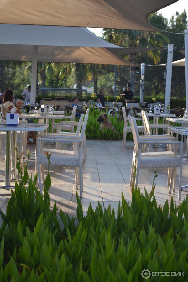 Отзывы lykia world links golf hotel 5