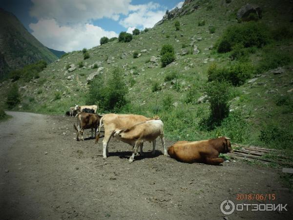 Ущелье Адыл Су Кабардино Балкария