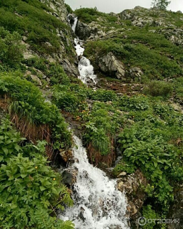 База отдыха на Ае Митькина Заимка (Россия, Алтайский край) фото